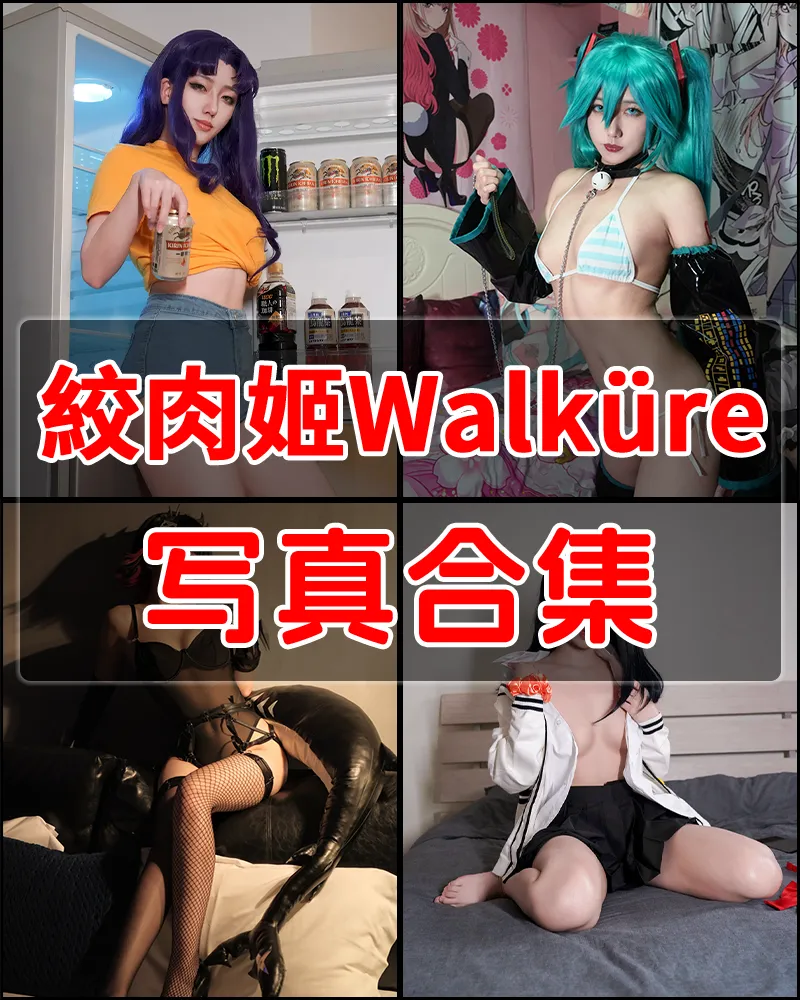 絞肉姬Walküre 写真作品合集 [11套]