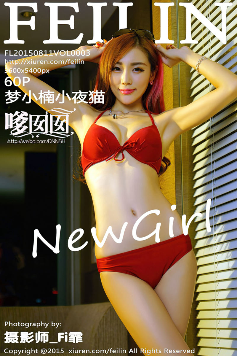 [FeiLin嗲囡囡] Vol.003 嫩模梦小楠小夜猫内衣系列完美身材火焰红唇写真