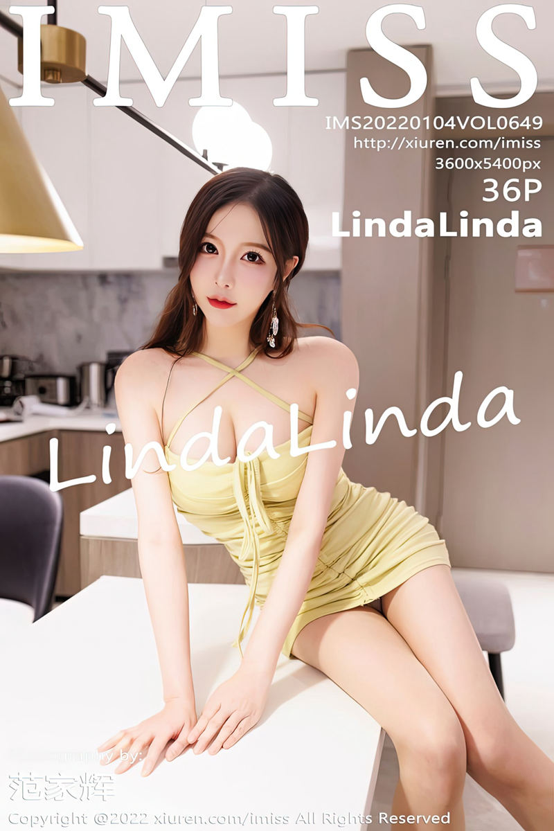 [IMiss爱蜜社] Vol.649 模特LindaLinda私房低胸连身裙半脱露蕾丝内衣丰满诱惑写真