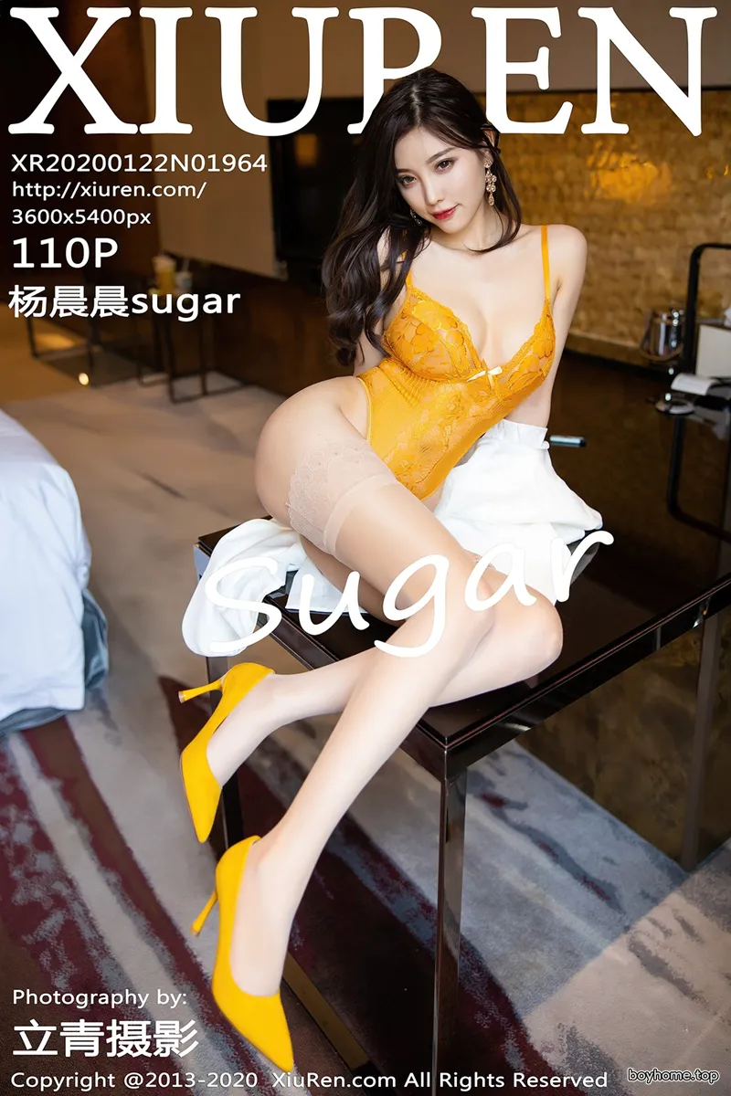 [XiuRen秀人网] No.1964 女神杨晨晨sugar私房精致镂空内衣配肉色蕾丝袜完美诱惑写真